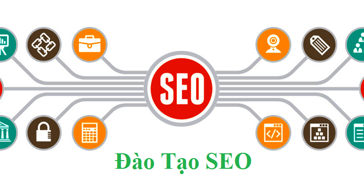đào tạo seo