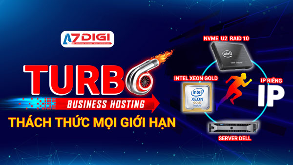 Turbo business hosting azdigi