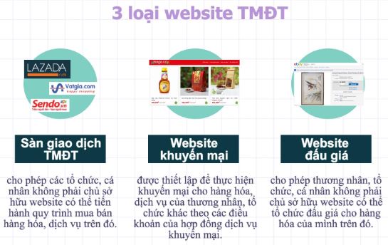 3 loại websute tmdt