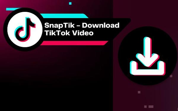 Phần mềm tải xuống video Tik Tok SnapTik